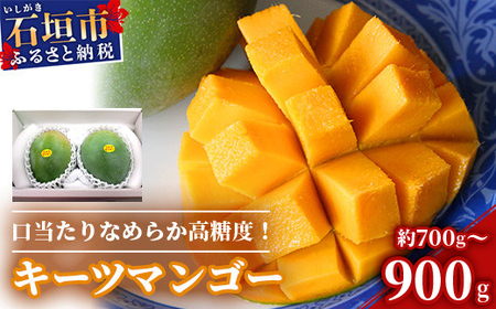 s\ ꌧΊ_Y L[c}S[ 700`900gy2026N8zy肪Ȃ߂炩 x}S[z