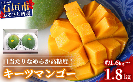 s\񁄉ꌧΊ_Y L[c}S[ 1.6`1.8kgy2026N8zy肪Ȃ߂炩 x}S[z