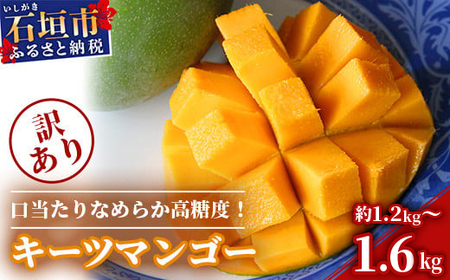 \ty󂠂zꌧΊ_Y L[c}S[ 1.2kg`1.6kgy2026N8zy肪Ȃ߂炩 x}S[zyKiOz