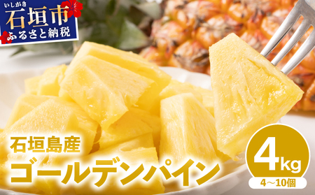[2026年6月発送]訳あり 石垣島産 ゴールデンパイン 約4kg(4〜10個)KP-04 | ふるさと納税 パイナップル 産地直送 フルーツ 果物 パイン 石垣 沖縄 沖縄県石垣市 石垣島