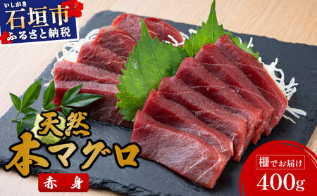 ys\zΊ_Y VR{}O Ԑg 400g GXC }OD 2026N6{菇