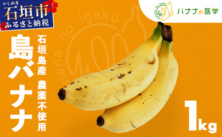 �o�i�i�̈�w �Ί_���Y ���o�i�i ��1kg �_��s�g�p | �o�i�i �Ί_ ���� 1kg ���_�� DF-001