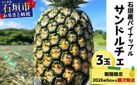 s\ Ί_YpCibv Th`F 3 (3kg) 2026N6{bYn  Ί_ pCibv pC XibN t[c gsJ 썑