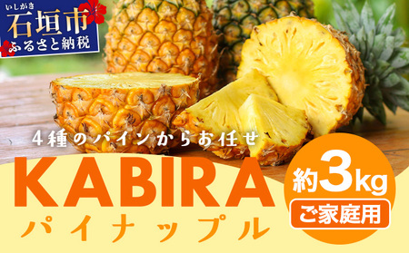 KABIRA �p�C�i�b�v�� �󂠂� ���ƒ�p ��3kg 4��̃p�C�����炨�C�� ��2026�N6�����甭���� | �Ί_ �p�C�� MF-002
