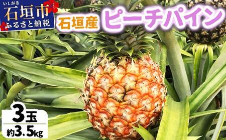 [先行予約] 農家直送!石垣島産 ピーチパイン 3個セット 約3kg [2026年3月下旬発送] | パイナップル パイン 沖縄県 石垣市 石垣島 南国 フルーツ 果物 季節限定 YE-001