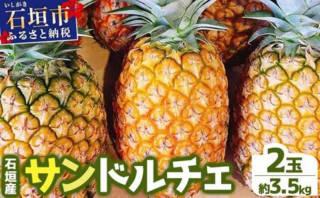 [先行予約] 農家直送!石垣島産サンドルチェ 2個セット 約3.5kg [2026年4月中旬発送] | パイナップル パイン 沖縄県 石垣市 石垣島 南国 フルーツ 果物 季節限定 YE-004