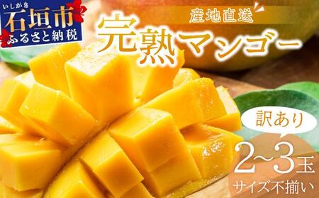 [先行予約][訳あり]マンゴー サイズ不揃い 2〜3玉 (約1kg) [2026年7月上旬から発送] 訳あり品 マンゴー