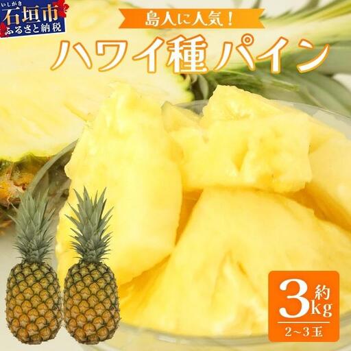 [先行予約] 石垣島産 ハワイ種パイン 2〜3玉 約3kg