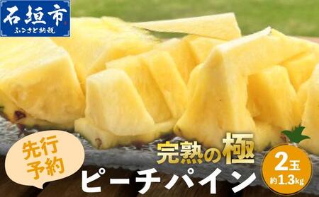 お試し用 ピーチパイン 2玉 約1.3kg