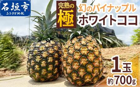 [期間限定 春フェア][2026年5月以降順次発送][先行予約] お試し用 幻のパイナップル ホワイトココ 1玉