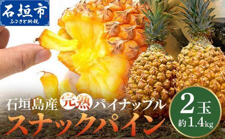 石垣島産 完熟 スナックパイン 2玉 約1.4kg