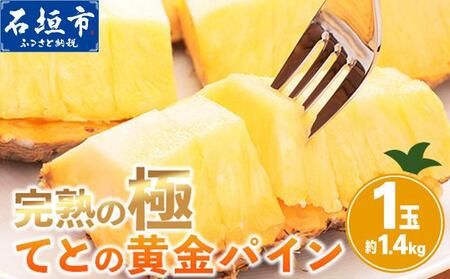 [期間限定 春フェア][2026年5月中旬以降順次発送][先行予約] お試し用 てとの黄金パイン 1玉 約1.4kg