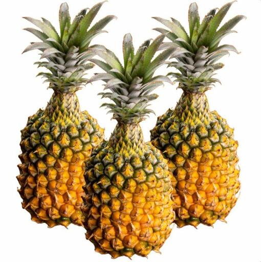 石垣島産 スナックパイン 約2.8kg 2～4玉