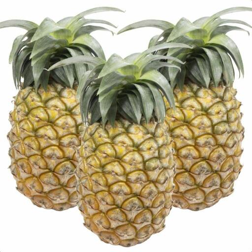 [先行予約] 石垣島産パイナップル 島パイン・ハワイ種 約2.8kg(2〜4玉) | 沖縄県 石垣市 石垣島 南国 フルーツ 果物 季節限定 パイン
