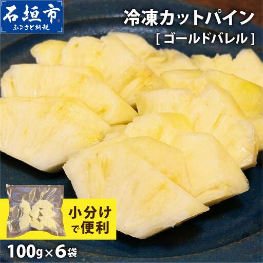 [7月以降発送]袋をあければそこは南国!完熟ゴールドバレルをカットして小分けでお届け! 100g×6パック TF-107 冷凍カットパイン(ゴールドバレル)100g×6袋 | 沖縄県 石垣市 石垣島 南国 フルーツ 冷凍
