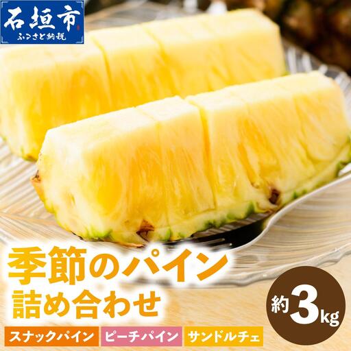 まーぼーの季節のパイン詰め合わせ 約3kg