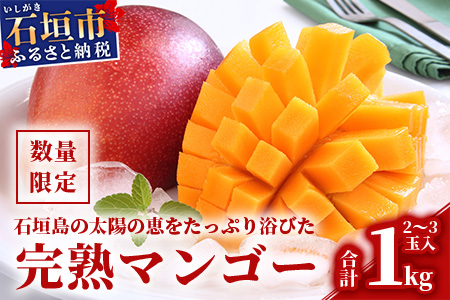 HI-1 【予約受付】石垣島のマンゴー 1kg 2~3玉