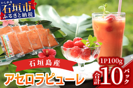 石垣島産アセロラピューレ 10パック CH-2-1