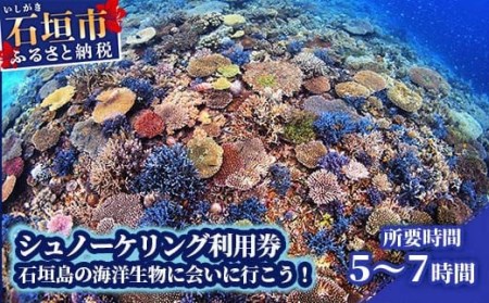 シュノーケリング利用券 石垣島のマンタ・サンゴ・ウミガメに会いに行こう