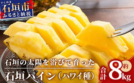 stΊ_pC nC 6Zbg2026N7{ | pCibv pCAbv Ί_pC t[c ʕ  썑t[c YpC MI-7-1