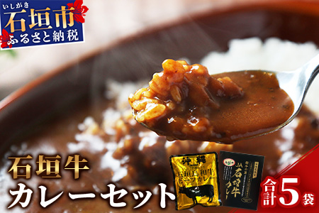 【ご当地ビーフカレー食べ比べセット】JA石垣牛カレー200g×2箱＆石垣島和牛ビーフカレー 160g×3袋【合計880g】お土産にも大人気のご当地カレー【レトルトで簡単・便利】KB-5