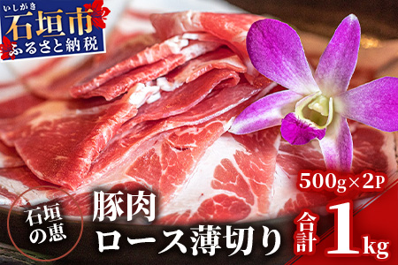 [産地直送]石垣の恵 アグー豚 豚肉ロース薄切り 500g×2パック[合計1kg]KB-33