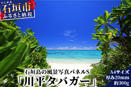 石垣島の風景 写真パネルS(川平タバガー)