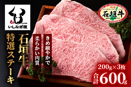 Ί_IT[CXe[L200g×3 AB-20