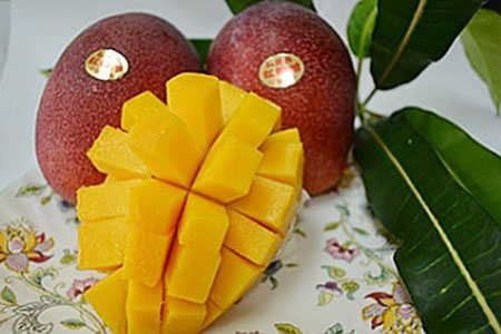 ����s�\�񁄃}���S�[(�A�[�E�B����) 4�`5�� ��2kg | �}���S�[ �A�b�v���}���S�[ ���ꌧ IF-2