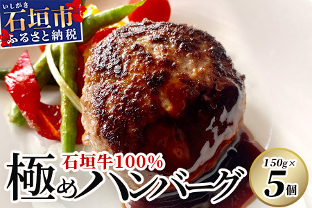 石垣牛 100% 極めハンバーグ 150g×5個 ≪肉職人が作ったこだわりハンバーグ≫ 【石垣牛 沖縄県 石垣市 石垣島 牛肉 牛 肉 黒毛和牛】 TM-5