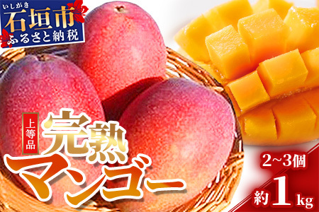 [先行予約]石垣島産 完熟マンゴー 約1kg エコ箱入り(2〜3個入り)2025年6月末〜7月下旬発送  