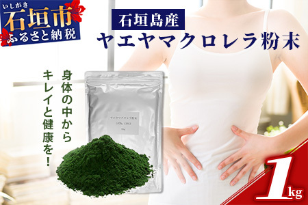 石垣島産ヤエヤマクロレラ粉末(1kg)AR-3