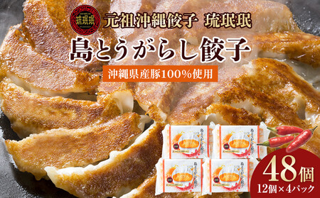 [琉みんみん]沖縄県産島とうがらし餃子 4パック 48個入り