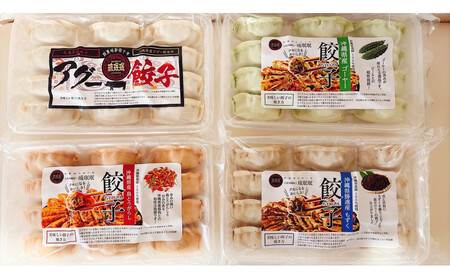 [琉みんみん]沖縄餃子 詰め合わせパック 4パック 48個入り