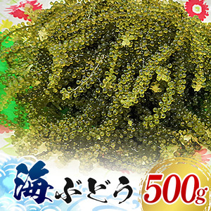 [てだこのまちのグリーンキャビア]海ぶどう(500g)