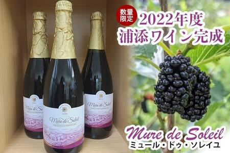 [数量限定]2022年度産 浦添ワイン Mure de Soleil(ミュール・ドゥ・ソレイユ)