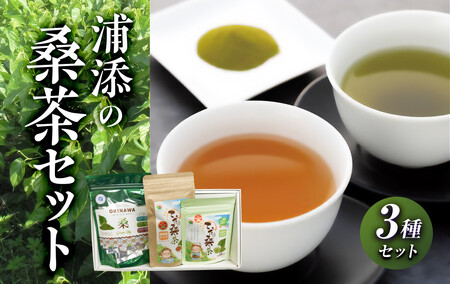 浦添の桑茶セット