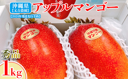 [2024年発送先行予約]沖縄県[又吉農園] 秀品アップルマンゴー 1kg