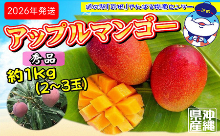 2026N@̉wc̏GiAbv}S[@1kg n }S[ Abv 썑  t[c  ʕ ʎ s\ Yn ґ Z XC[c fU[g {̉ʕ 蕨 M