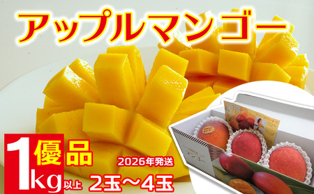 2026年発送[羽地の駅]アップルマンゴー 1kg以上(優品) 沖縄 おきなわ オキナワ 名護 なご 人気 こだわり とろける くだもの あまい お取り寄せ お土産 食べ物 果物 食品 ご当地 県産 南国 トロピカル 夏