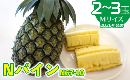 2026年発送[羽地の駅]Nパイン(N67-10)2〜3玉(Mサイズ)2.5kg以上 沖縄 おきなわ 国産 県産 フルーツ 厳選 こだわり とろける くだもの あまい 魅力 お土産 67-10 果物 取り寄せ ご当地 やんばる 南国 トロピカル 夏
