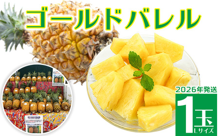 2026年発送[羽地の駅]ゴールドバレル1玉(Lサイズ)1.5kg以上 沖縄 おきなわ 国産 県産 フルーツ 人気 こだわり ギフト くだもの あまい お取り寄せ お土産 食べ物 果物 パイン ご当地 やんばる 冷蔵 トロピカル 夏
