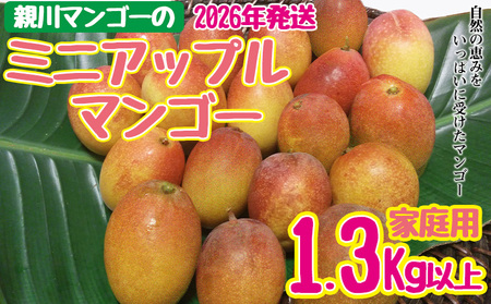 �y2026�N�����z�e��}���S�[�̃~�j�A�b�v���}���S�[�@�ƒ�p�@1.3kg�ȏ� �A�b�v�� �}���S�[ �� �① �������� �l�C �X�C�[�c �f�U�[�g �ʎ� �ʕ� �t���[�c �썑 ���� �����Ȃ� �W���[�X �V��