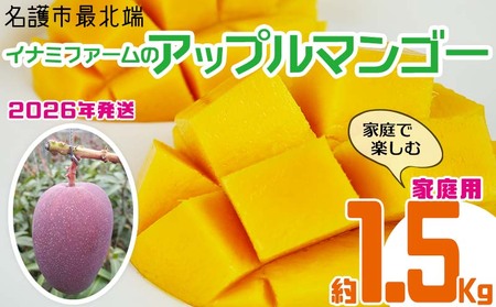 y2026NzsŖk[Ci~t@[̉ƒŊyރAbv}S[ 1.5kg t[c ʕ Ԍ ʌ }S[ 썑 v[g yY ݂₰ Mtg   