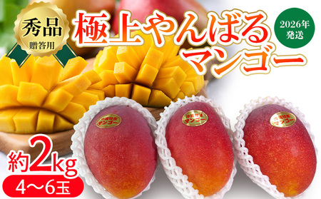 2026Nypzɏ΂}S[2kgyGiz n }S[ s\ ①  ƒ p XC[c X[W[ v t[cW[X Y t[c ʕ ʎ 썑 