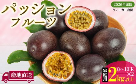 2026Nys\zƒppbVt[c 2kgȏyEH[J[_z pbV t[c  ʎ ʕ Y   XC[c fU[g Yn  {̉ʕ 