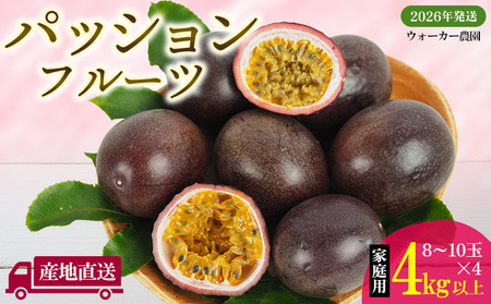 2026Nys\zƒppbVt[c 4kgȏyEH[J[_z pbV t[c  ʎ ʕ Y   XC[c fU[g Yn  {̉ʕ 