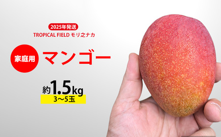 2025年発送[TROPICAL FIELD モリ之ナカ]家庭用マンゴー約1.5kg(3〜5玉) フルーツ 果物 期間限定 数量限定 先行予約 南国 プレゼント お土産 おみやげ ギフト くだもの 沖縄 おきなわ 青果 デザート おすすめ 人気 冷蔵 夏 スイーツ