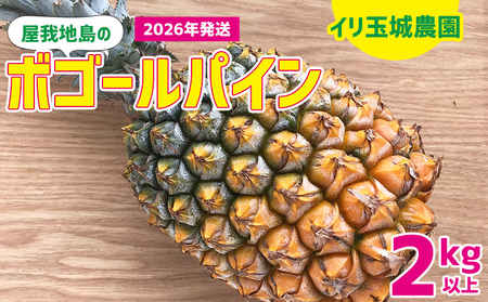 2026Nuñ{S[pCv2kgȏyn@Cʏ_z  n {S[ pCibv ς Y s Ȃ QL  n ӂ邳Ɣ[  