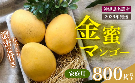 y2026N s\ ʌz}S[ ƒp 800gȏ ƒp s\  Ö x Z  yY ܂񂲁[ ݂ Mtg v[g ʎ  ʕ ӂ邳Ɣ[ 